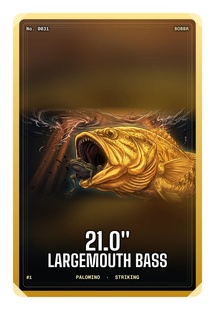 Palomino largemouth bass card, 21 inches