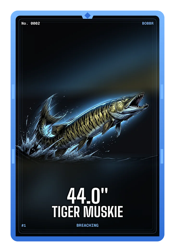 Tiger muskie card, 44 inches, serial 0002