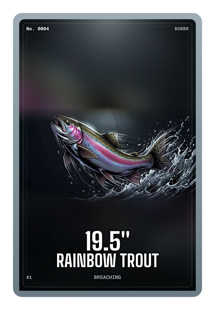 Rainbow trout card, 19.5 inches, serial 0004