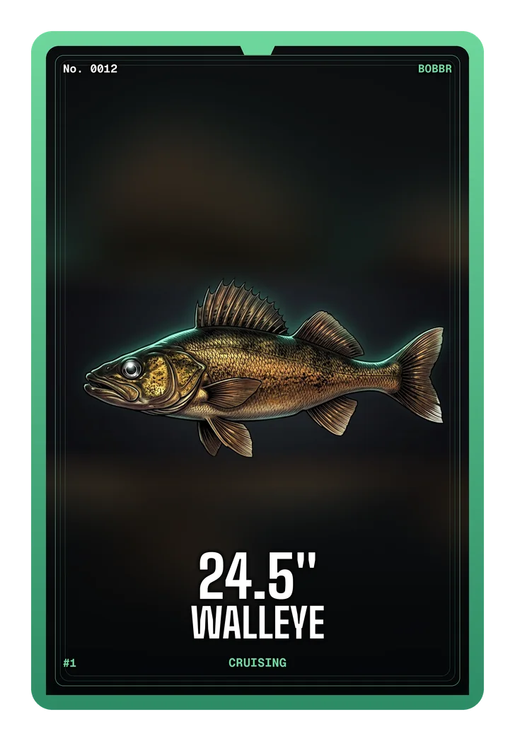 Walleye card, 24.5 inches, serial 0012